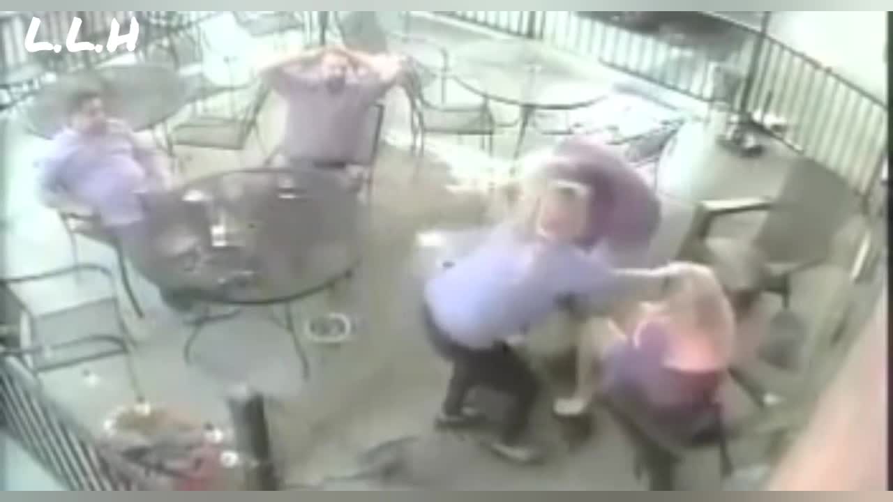 Hazardous dogs attack's on streets, bite's Humans