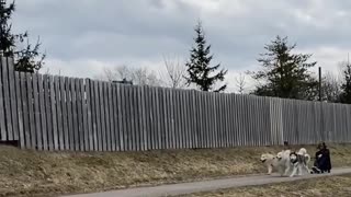How My Crew and I Get Around