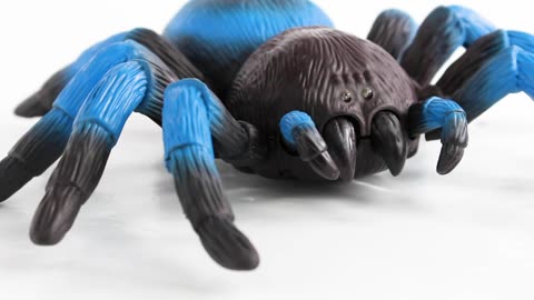 Spider if you want to buy Link in description