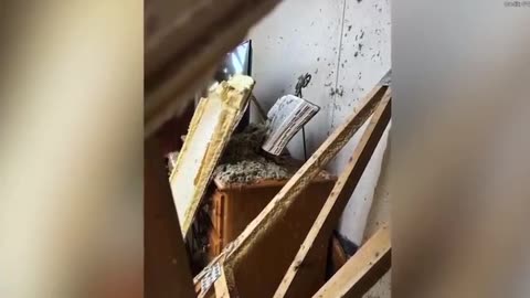 The hurricane ripped through this woman’s home, but her Bible is hardly touched.