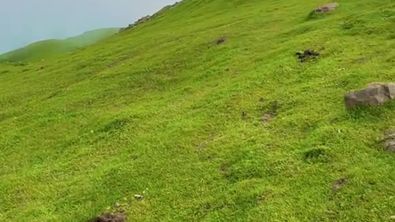 Beauty of nature