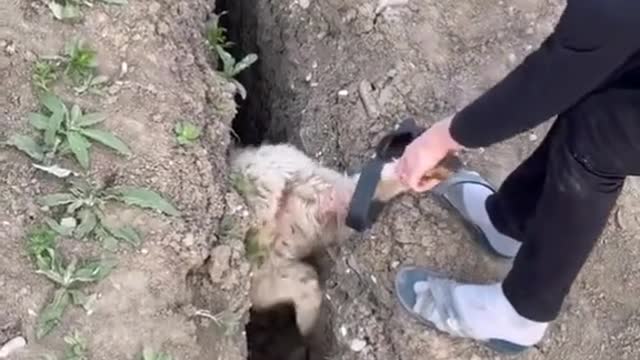 eu fugindo dos problemas: