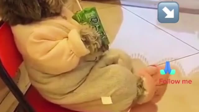 Relaxing moment for this dog 😂😁😁