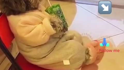 Relaxing moment for this dog 😂😁😁