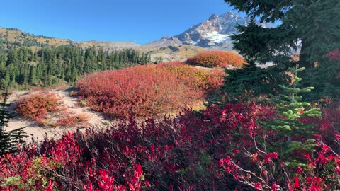 Oregon – Mount Hood – Colorful Autumn Landscape – 4K