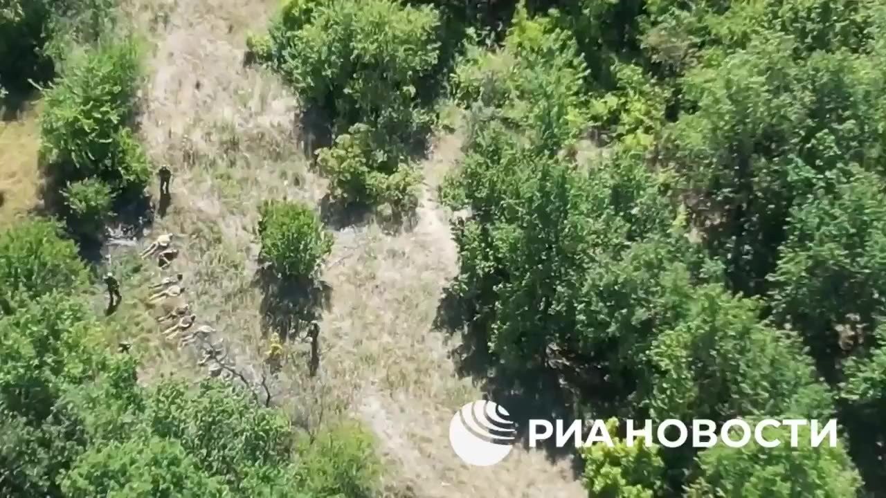 Ukrainian tourists resting near Spalnoye in Kursk region.