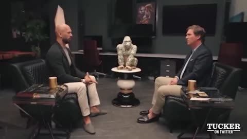 Tucker and Andrew Tate Interview Shorts