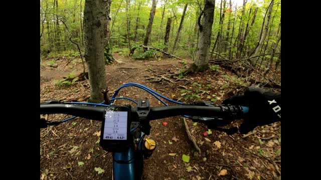 Mountain Biking, NH 9/28/2022