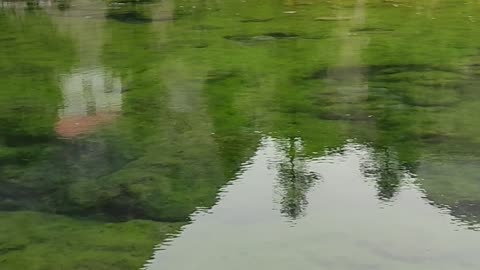 Satrangi Lake Naltar