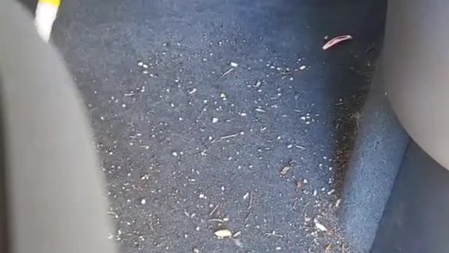 Cleaning and repairing dirt and stains inside automobiles