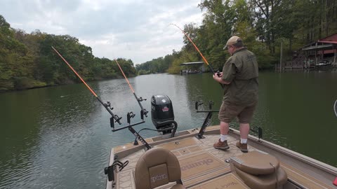 Fishing New Catfish Spot In Backwater Creek Of Lake I Need To Fish More!!!