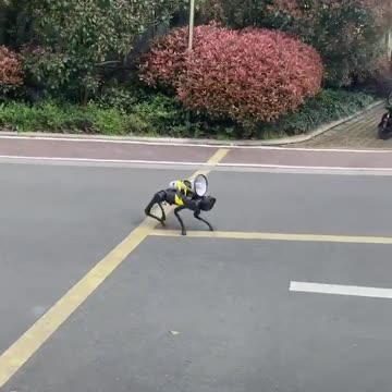 A robot dog patrols the empty streets of Shanghai in China with a loudspeaker