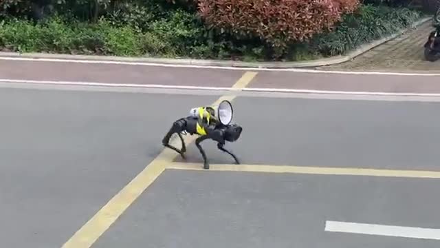 A robot dog patrols the empty streets of Shanghai in China with a loudspeaker