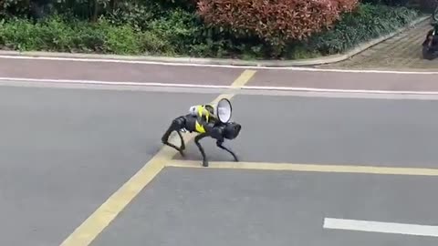 A robot dog patrols the empty streets of Shanghai in China with a loudspeaker