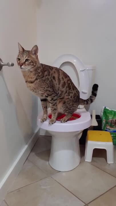 pooping in the right place lol