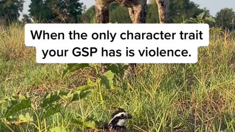 When the only character trait your GSP has is violence.