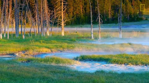 Spend a Relaxing Hour in Yellowstone’s Beautiful Landscapes National Geographic