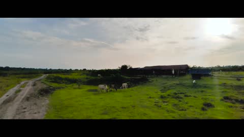 Fake Drone shots with Phone