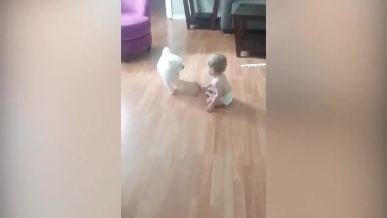 Dog Keeps Following Baby