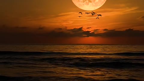 La luna splendente sta sorgendo sopra il mare,