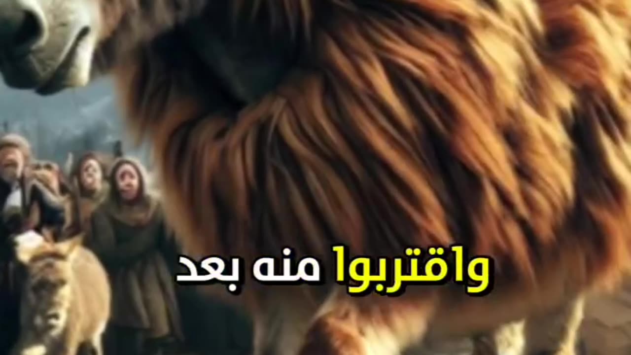 دروس الحياة من كلام الغابة #خواطر #حكم #اقتباسات #reelsinstagram #reels #اكسبلور_فولو #foryou