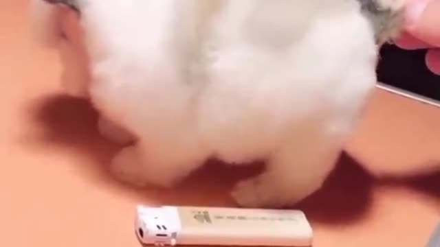 😂😂