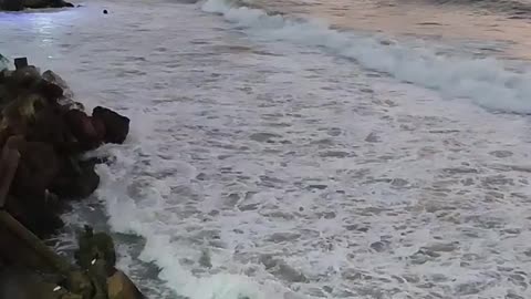 Mediterranean beach in Palestine