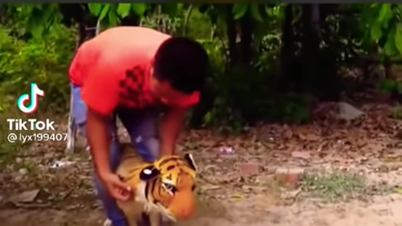 Tiger-prank-on-dog