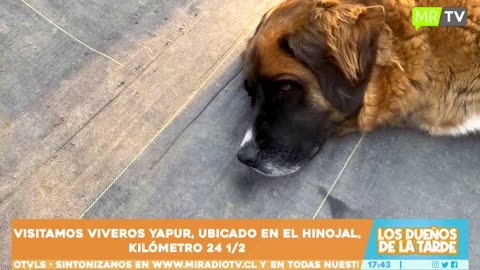 LDT 04/08/2023