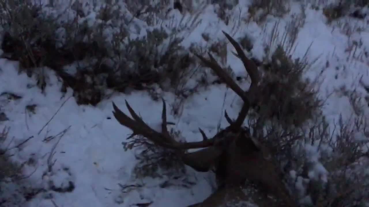 Last light buck