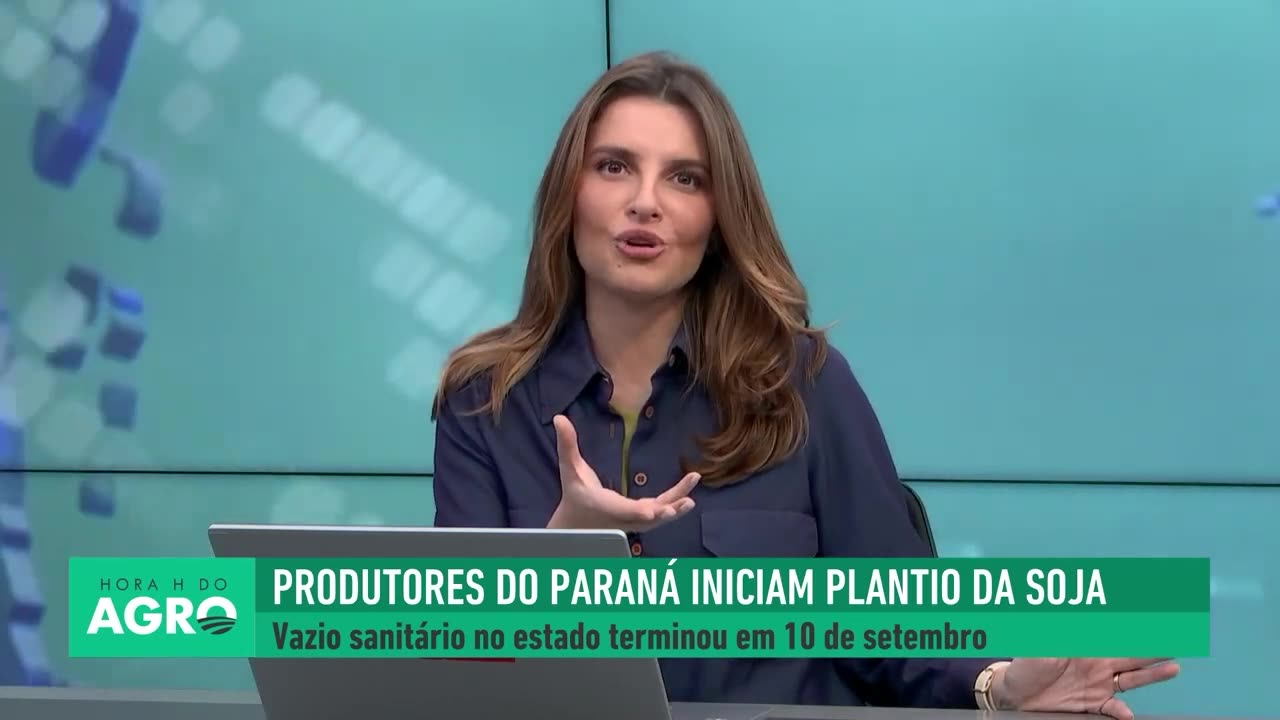 Plantio de soja começa no Paraná após vazio sanitário