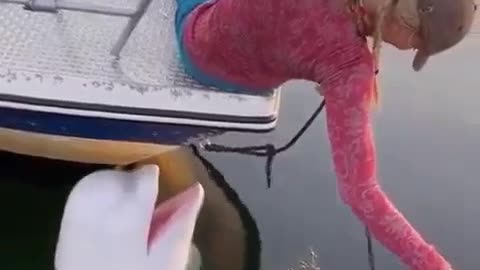 Loyal Friend Is Worth More #shorts #viral #shortsvideo #video