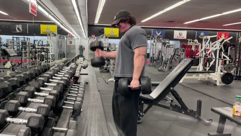 Spring Bulk Day 51 - Arms