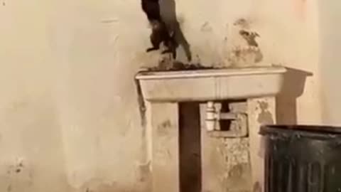 The mother helps her son to climb the wall