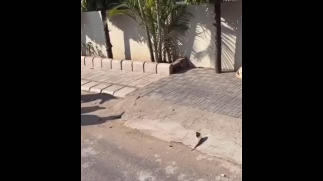 What, it was so sudden; Don't run. I'm coming.