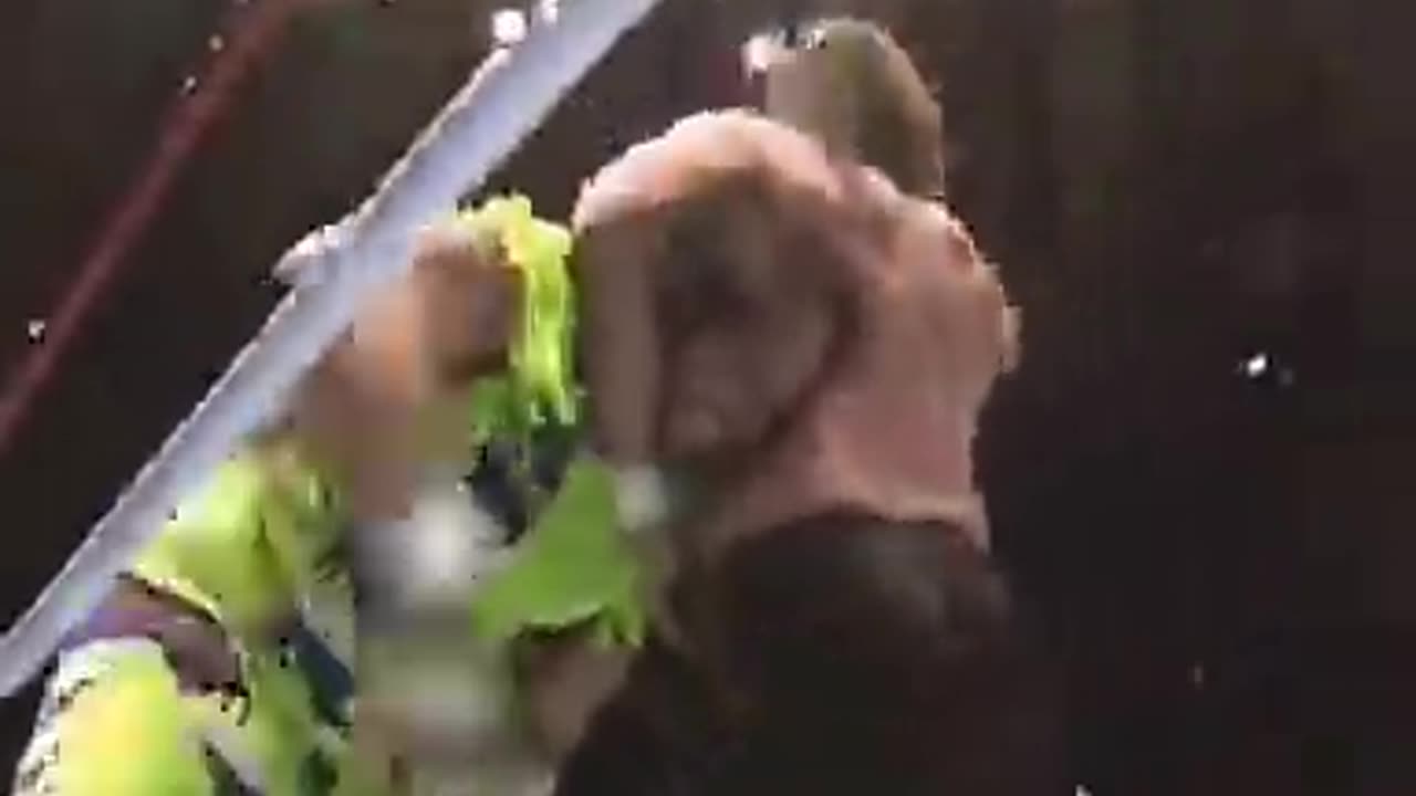 JAKE ROBERTS VS RANDY SAVAGE
