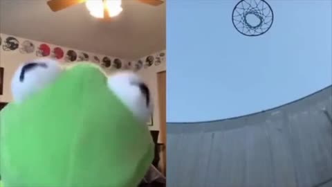 Tik Tok Funny Frog