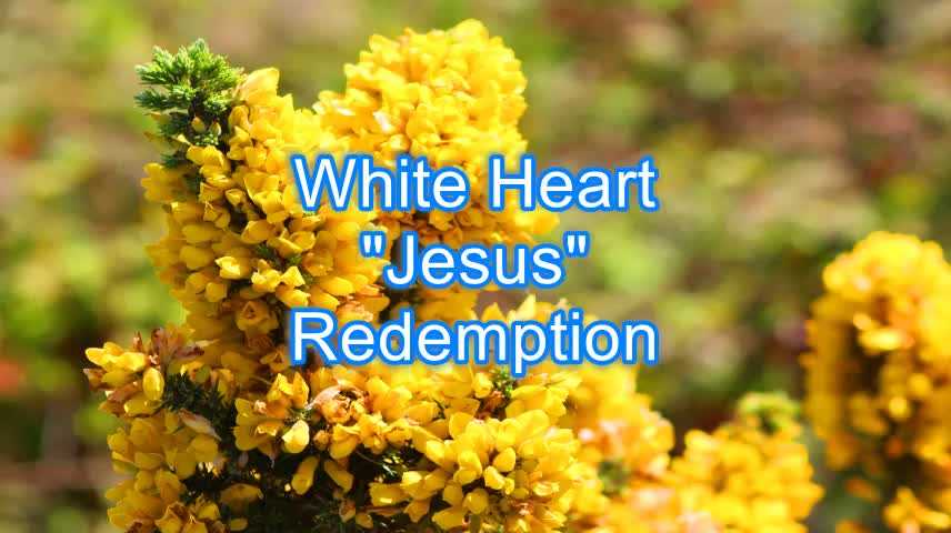 White Heart - Jesus #286