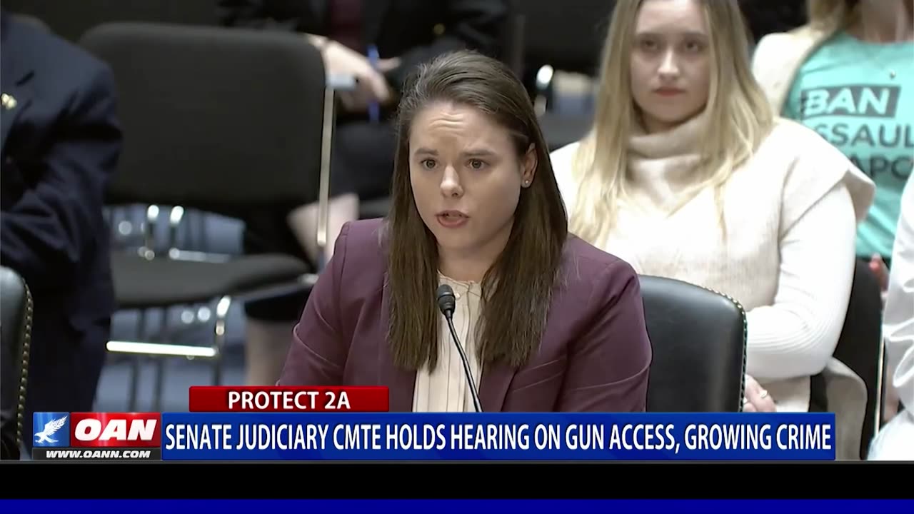 Senate Judiciary CMTE Holds Hearing On Gun Access, Growing Crime