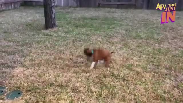 Try Not To Laugh Challenge! 😂 Funniest Fails of the Week | Live AFV