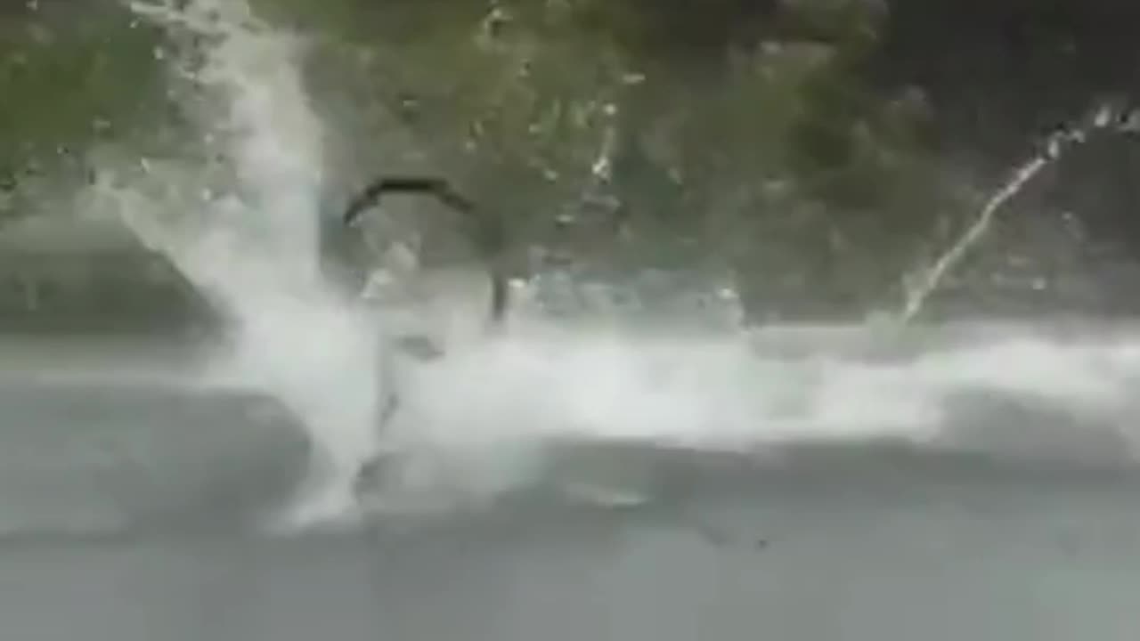 Ouch