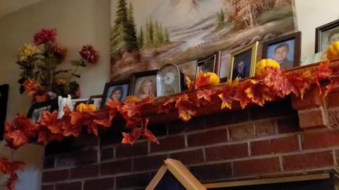 Halloween Decorations