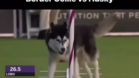 FAST OR SLOW