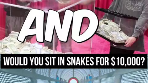 Part 2 - Yould Your Sit In Snakes For $10,000