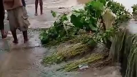 Vehicles stocked in Flood