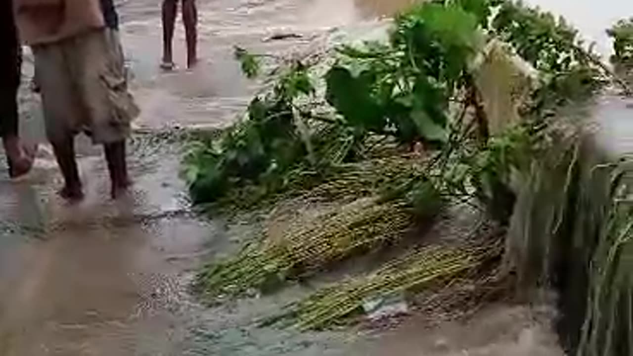 Vehicles stocked in Flood