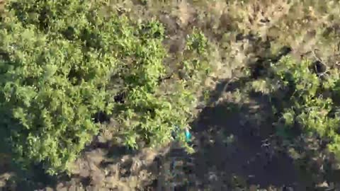 Drone Footage