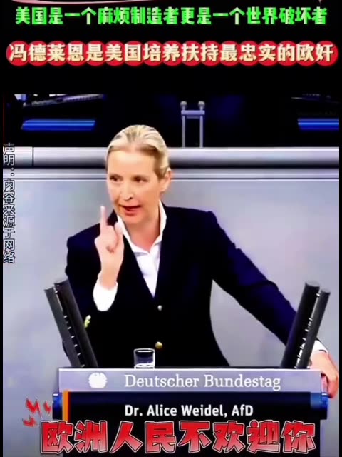 Germany attacked von der Leyen and Blinken at the EU Parliament