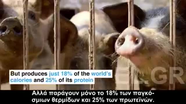 Μηχανή βγάζει κρέας από φυτά !