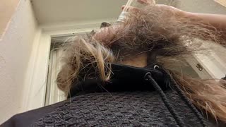 2023-04-11 (1) - (Live sans titre) - Twitch Meutemediatique